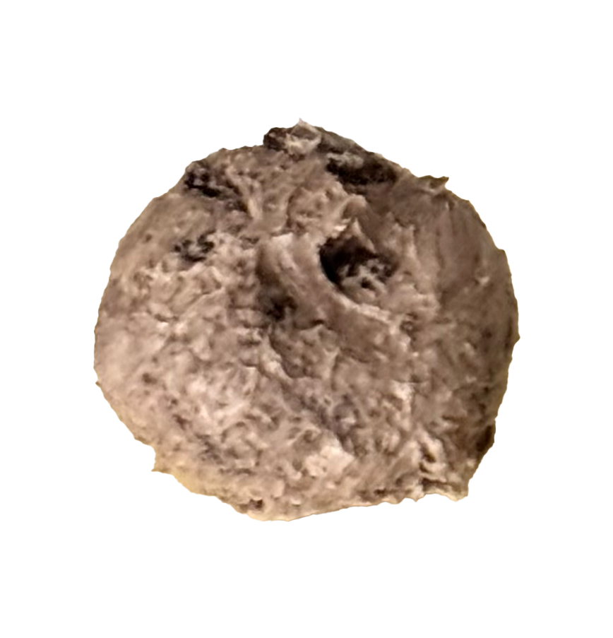 Bread 5